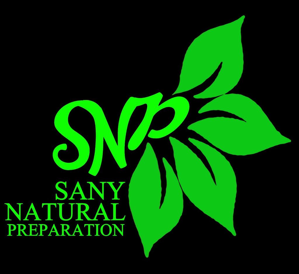 Sany Logo